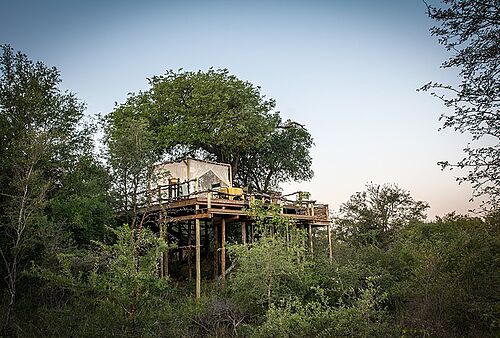 Garonga Safari Camp im Makalali Reservat in Südafrika