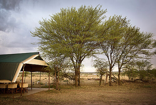 Olakira Migration Camp in der Serengeti