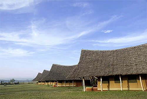 Flamingo Hill Camp am Lake Nakuru in Kenia