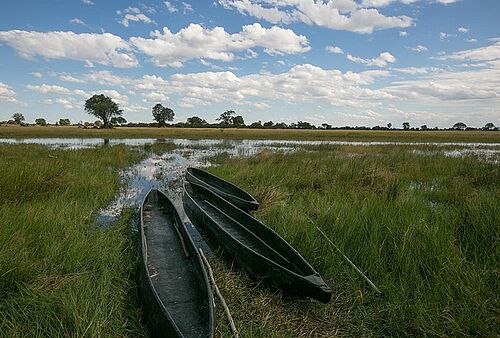 Bushman Plains Camp in Botswana