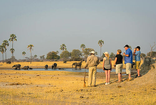 Menschen betrachten auf Safari Elefanten an einer Wasserstelle