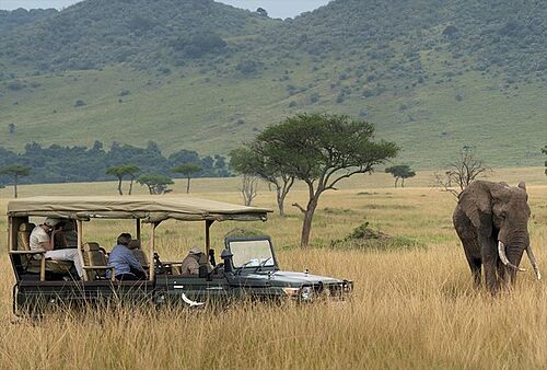 Safari Aktivitäten im Bateleur Camp in der Masai Mara in Kenia
