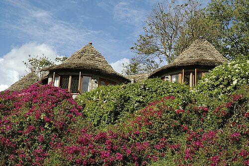 Lake Duluti Serena Hotel in Arusha