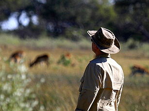 Reisender beobachtet Antilopen bei einer Walking Safari in Botswana