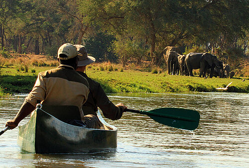 Mokorofahrt in Sambia, im Hintergrund Elefanten am Ufer