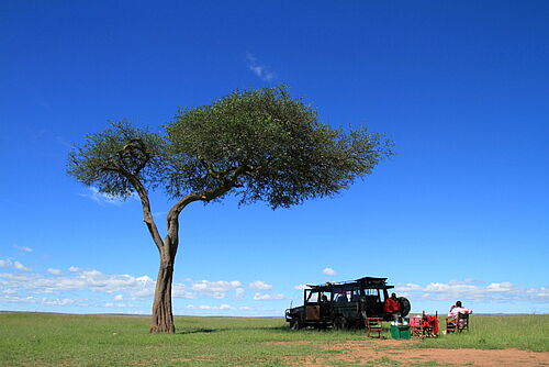 Buschpicknick im Schatten eines Baumes in Kenia