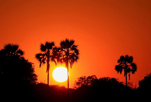 Sonnenuntergang in Botswana