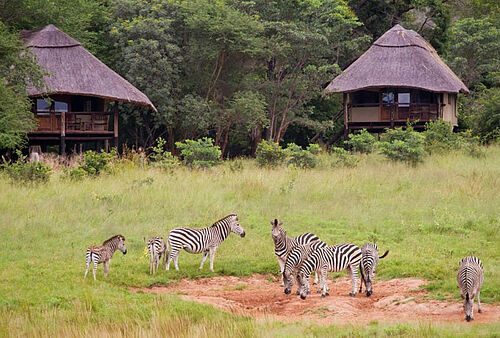 Ivory Lodge Hwange Nationalpark