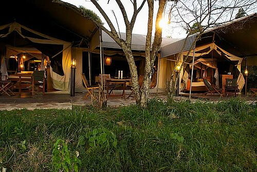 Mara Intrepids Camp in der Masai Mara