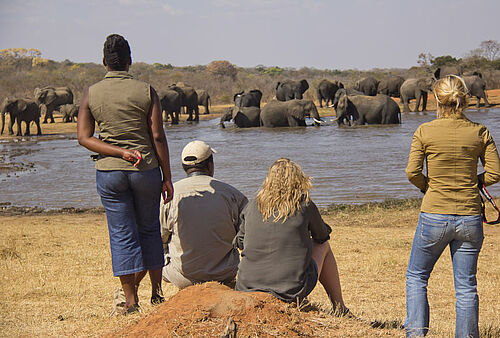 Safari-Teilnehmer betrachten eine Horde Elefanten in einem Wasserloch