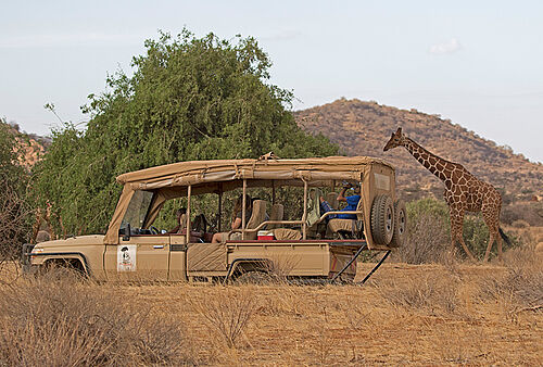 Safari Aktivitäten im Elephant Bedroom Camp im Samburu Nationalpark in Kenia