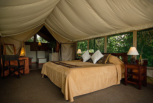 Komfortable Safari Zelte im Governors Camp in der Masai Mara in Kenia