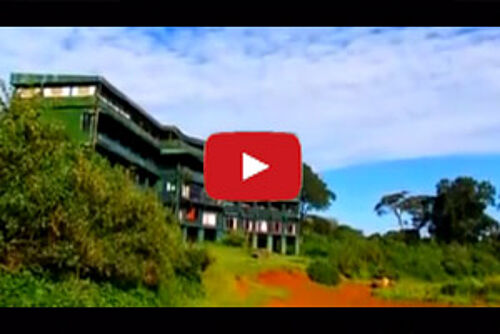 Video Vorschaubild: Serena Mountain Lodge am Mount Kenya in Kenia