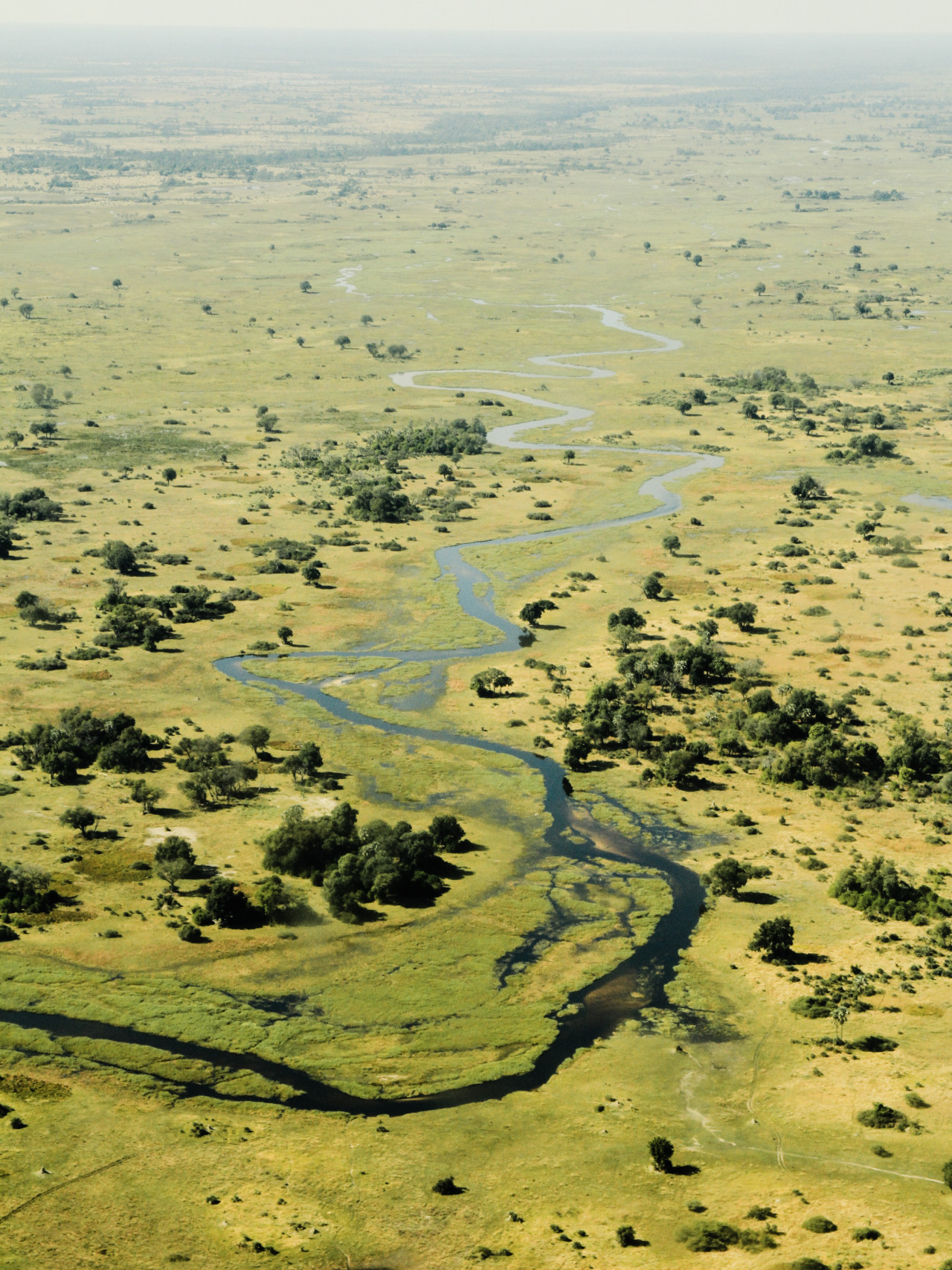 Flußwege im Okavango Delta, Botswana