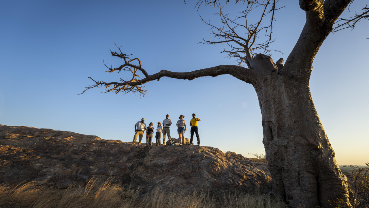 Gruppe bei einer Safari-Wanderung an einem Baobab-Baum