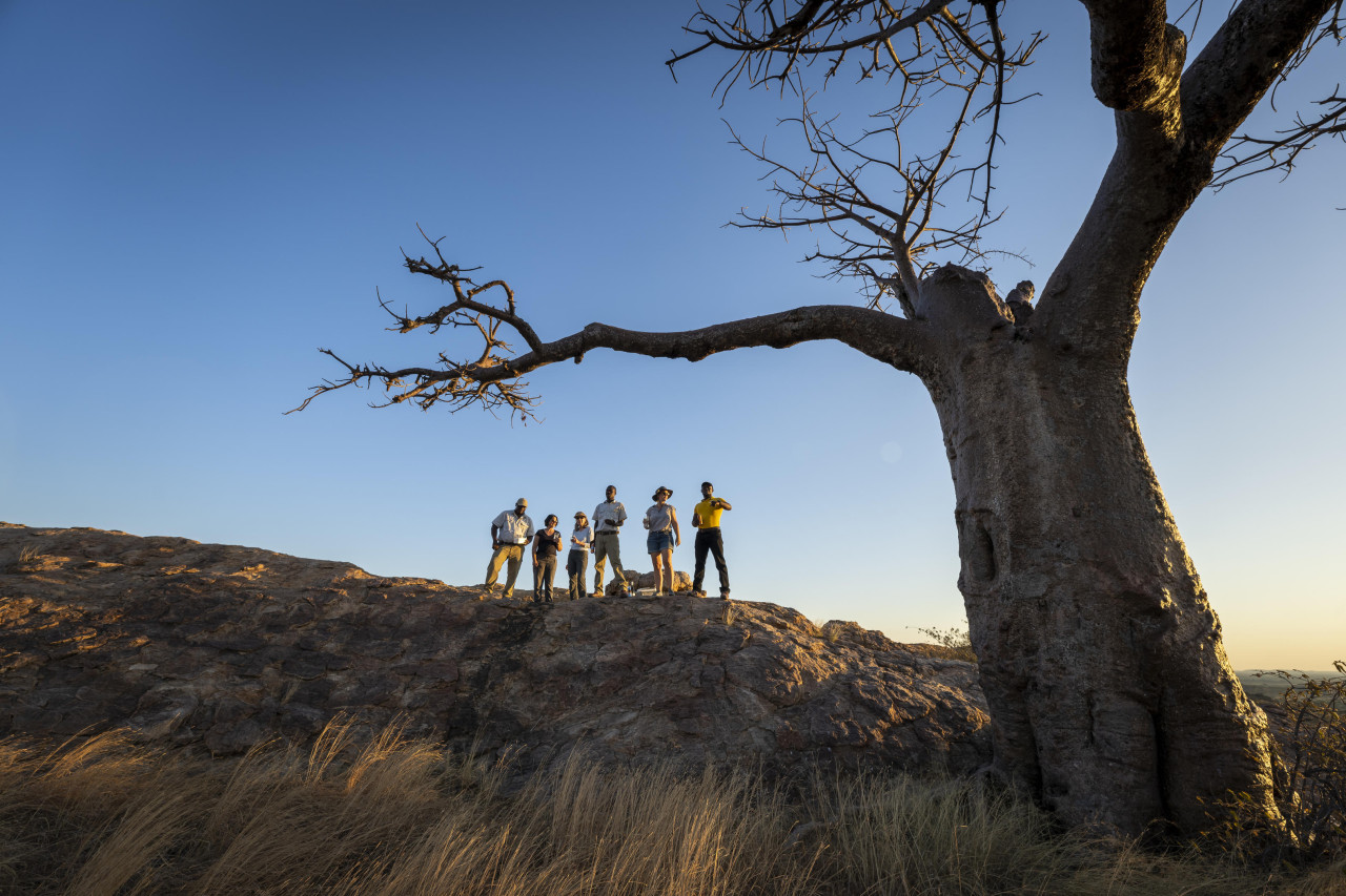 Gruppe bei einer Safari-Wanderung an einem Baobab-Baum