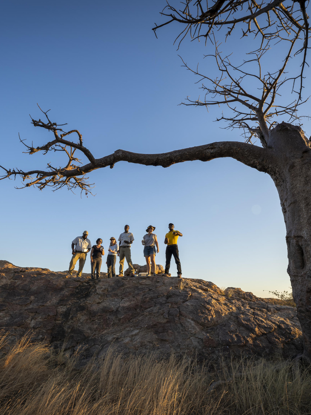Gruppe bei einer Safari-Wanderung an einem Baobab-Baum