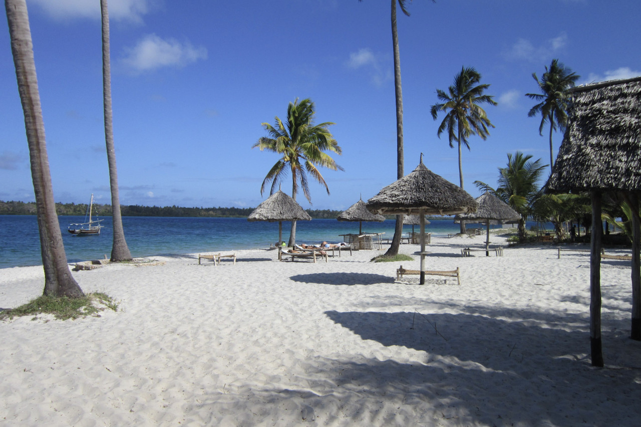 Palmenstrand mit Sonnenliegen und Strohdächern.