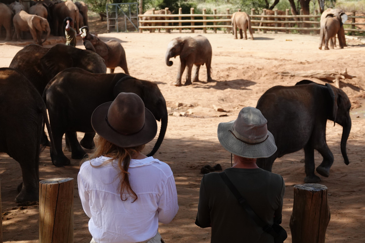 Verwaiste Elefanten im Retiti Waisenhaus, Kenia