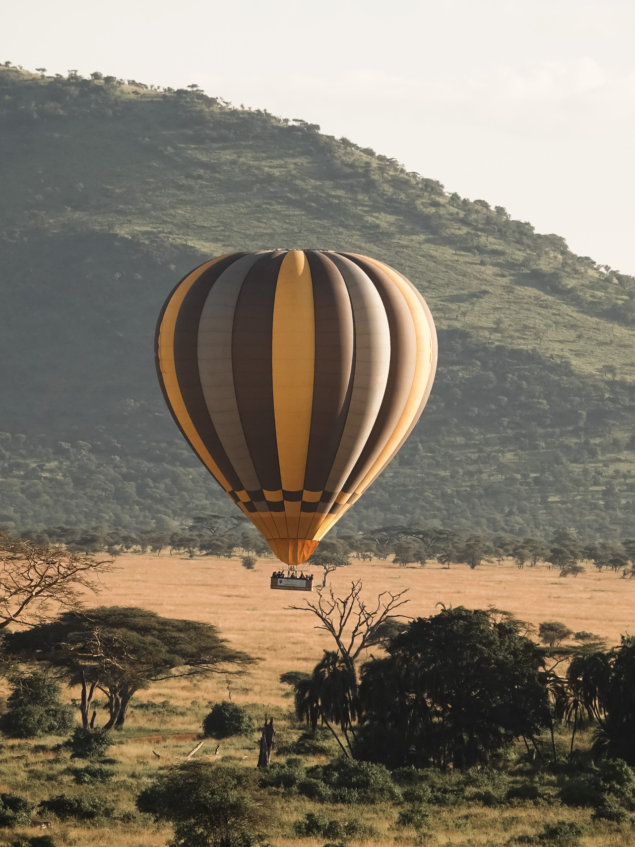 Ballonsafari in Serengeti mit Karibu Safaris