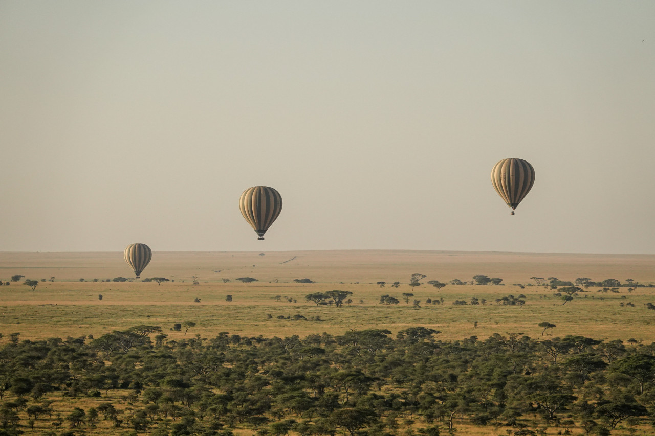 Ballonfahrt über die Savanne der Serengeti, Tansania