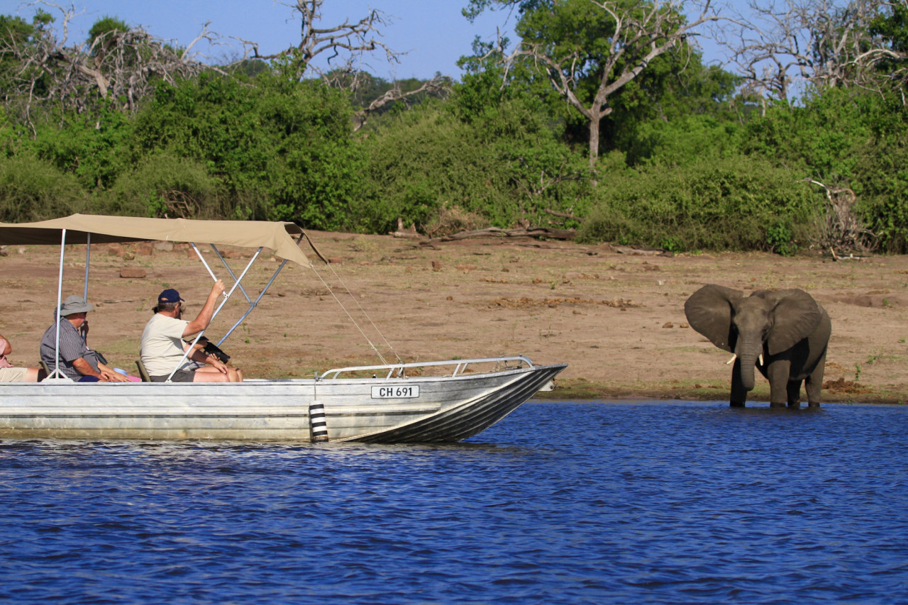 Safari-Bootsfahrt auf dem Chobe River in Botswana mit Blick auf einen Elefanten am Ufer