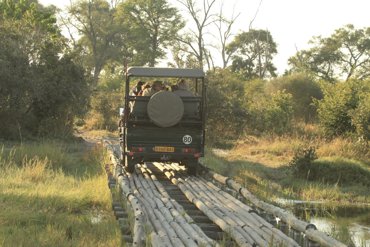 Safari-Jeep auf Holzbrücke bei einer Pirschfahrt in Botswana – Wildnis hautnah erleben