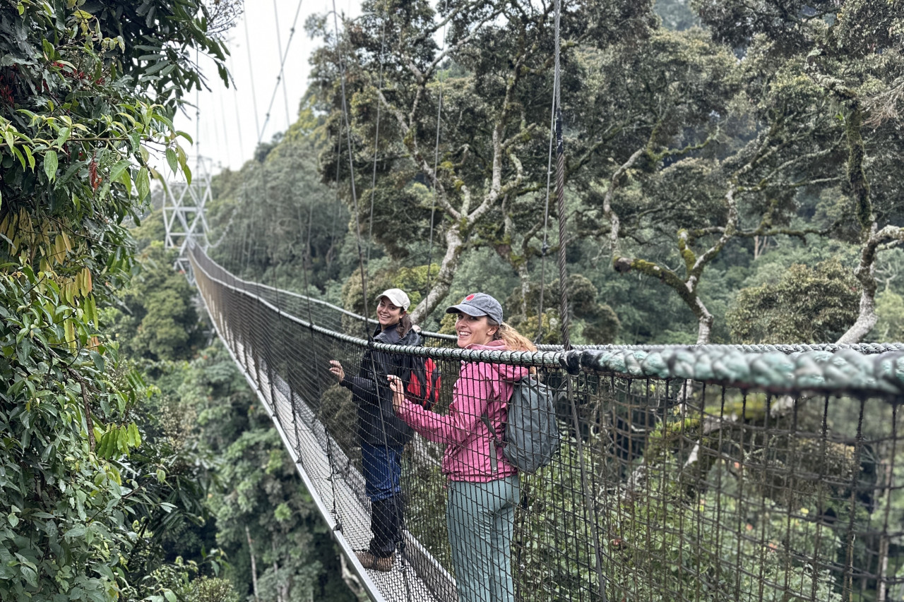 Besucher auf dem Canopy Walk im Nyungwe-Nationalpark in Ruanda zwischen den Baumwipfeln.