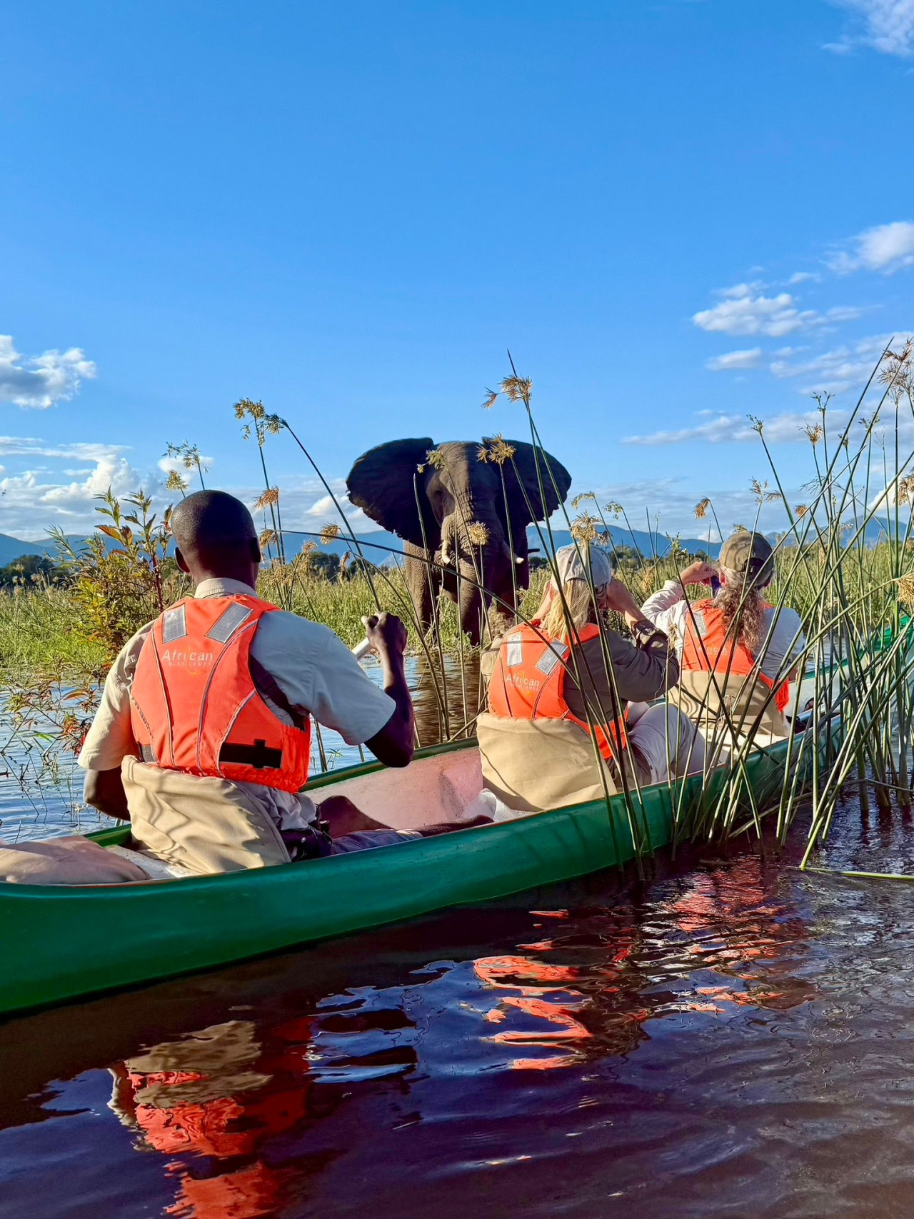 Elefantenbeobachtung aus dem Kanu