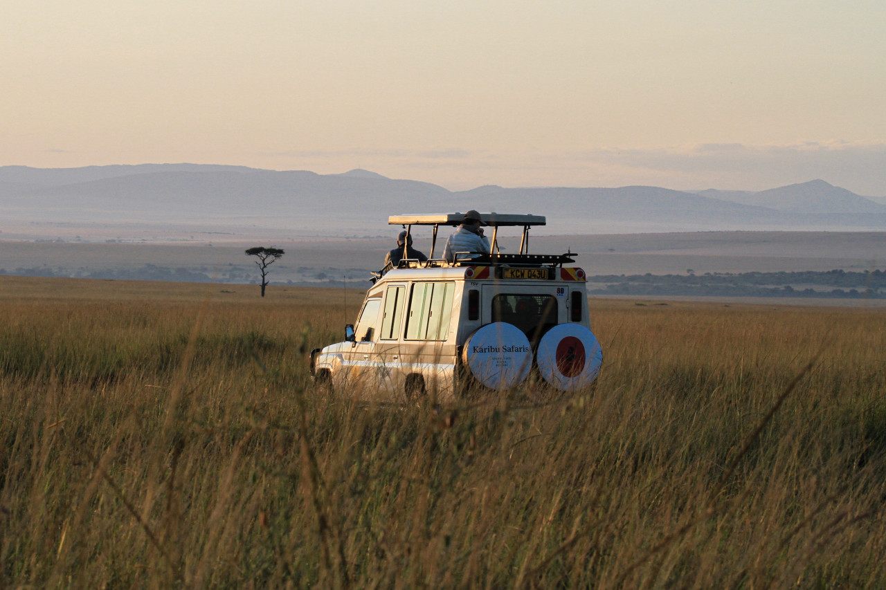 Morgenstimmung bei einer Safari mit Karibu Safaris in der Masai Mara, Kenia
