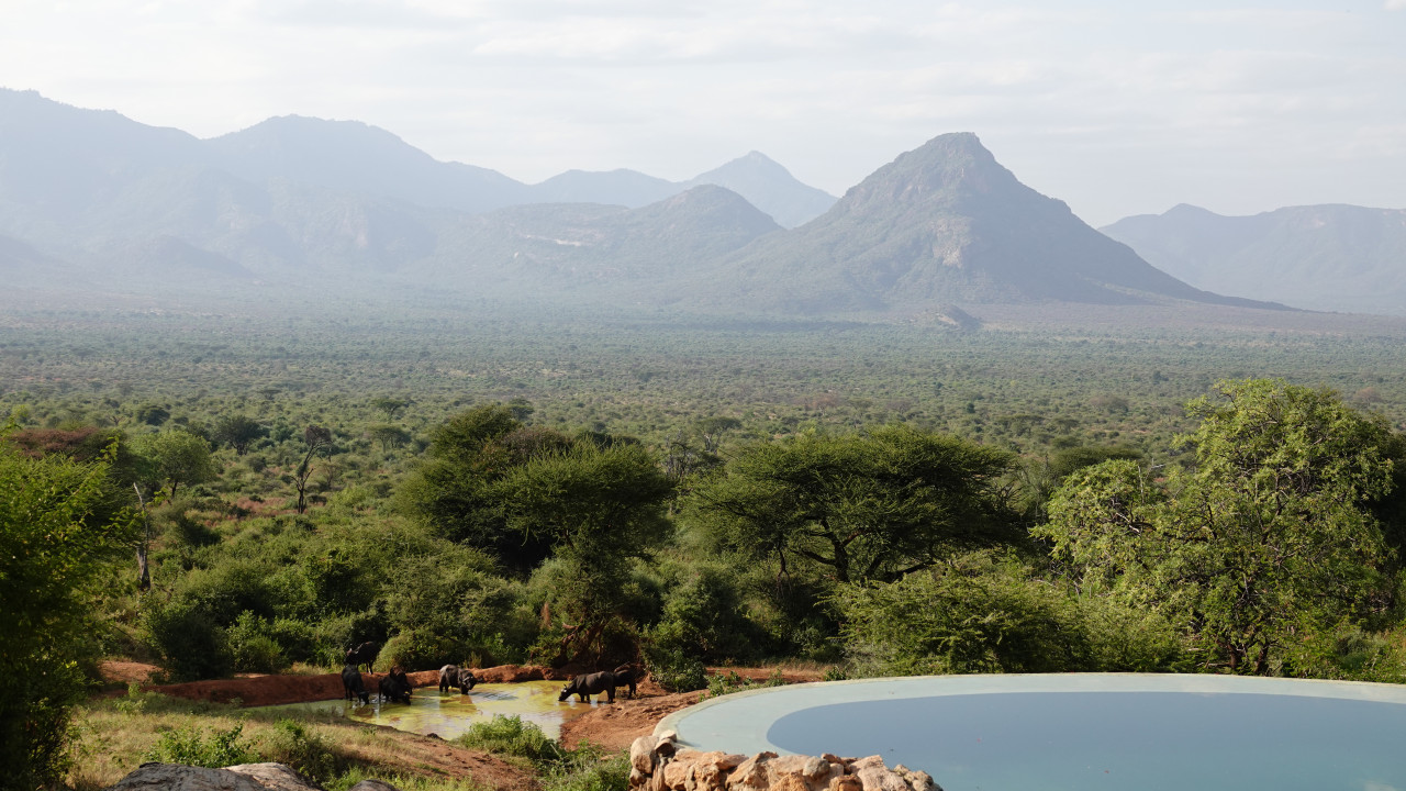 Infinity Pool mit Ausblick auf Elefantenherde und Berge in Afrika