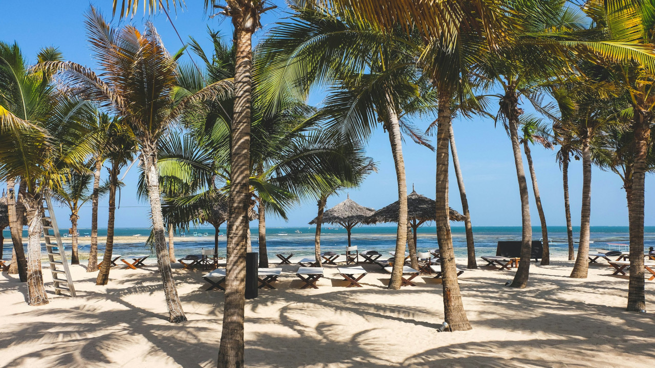 Weißer Strand mit Palmen und Palmdach-Schirmen in Kenia