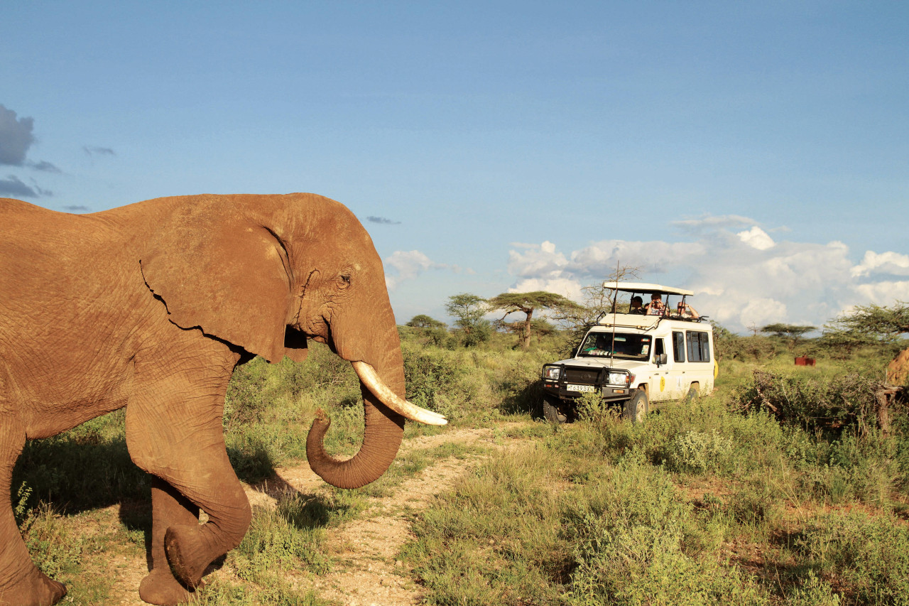 Elefantensichtung mit Safari Jeep in Kenia