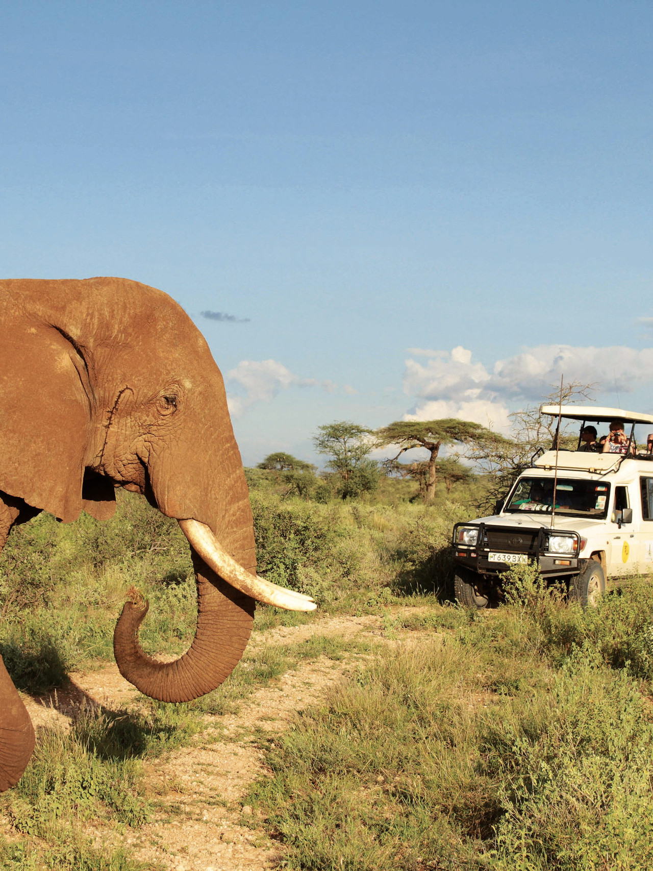 Elefantensichtung mit Safari Jeep in Kenia