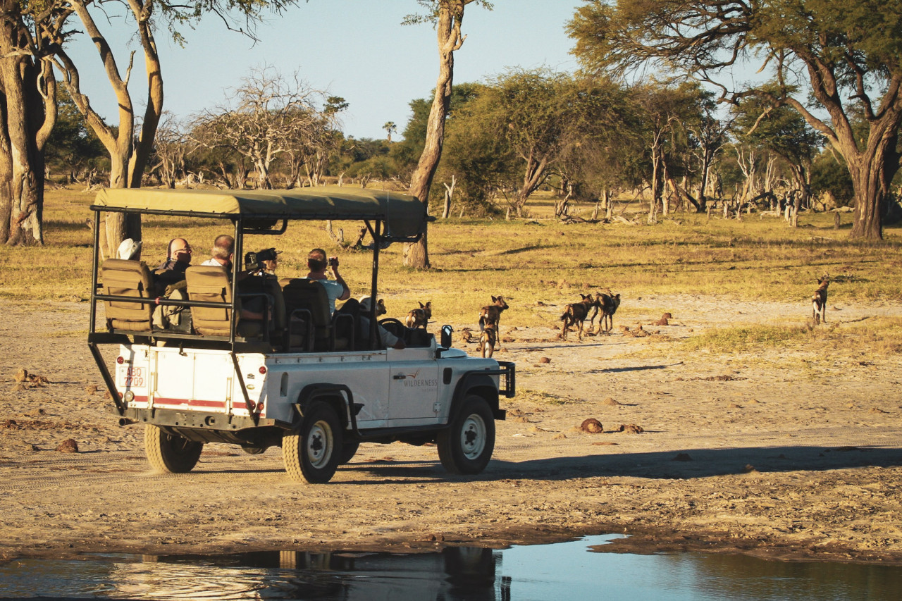 Safari-Fahrzeug bei Pirschfahrt im Hwange-Nationalpark mit Sichtung von Wildhunden – Safari-Abenteuer mit Karibu Safaris