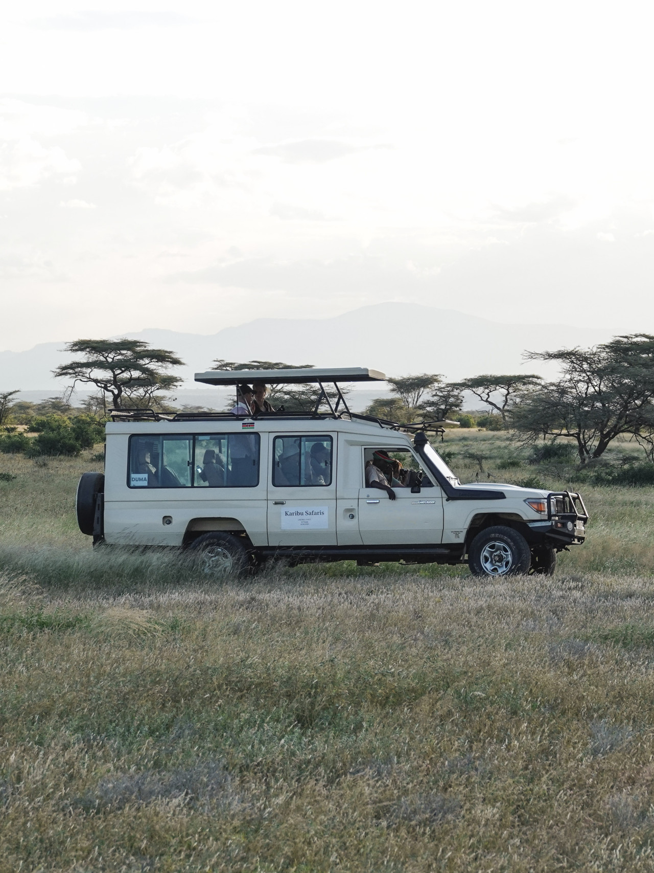 Pirschfahrt im Jeep mit Karibu Safaris in Samburu, Kenia