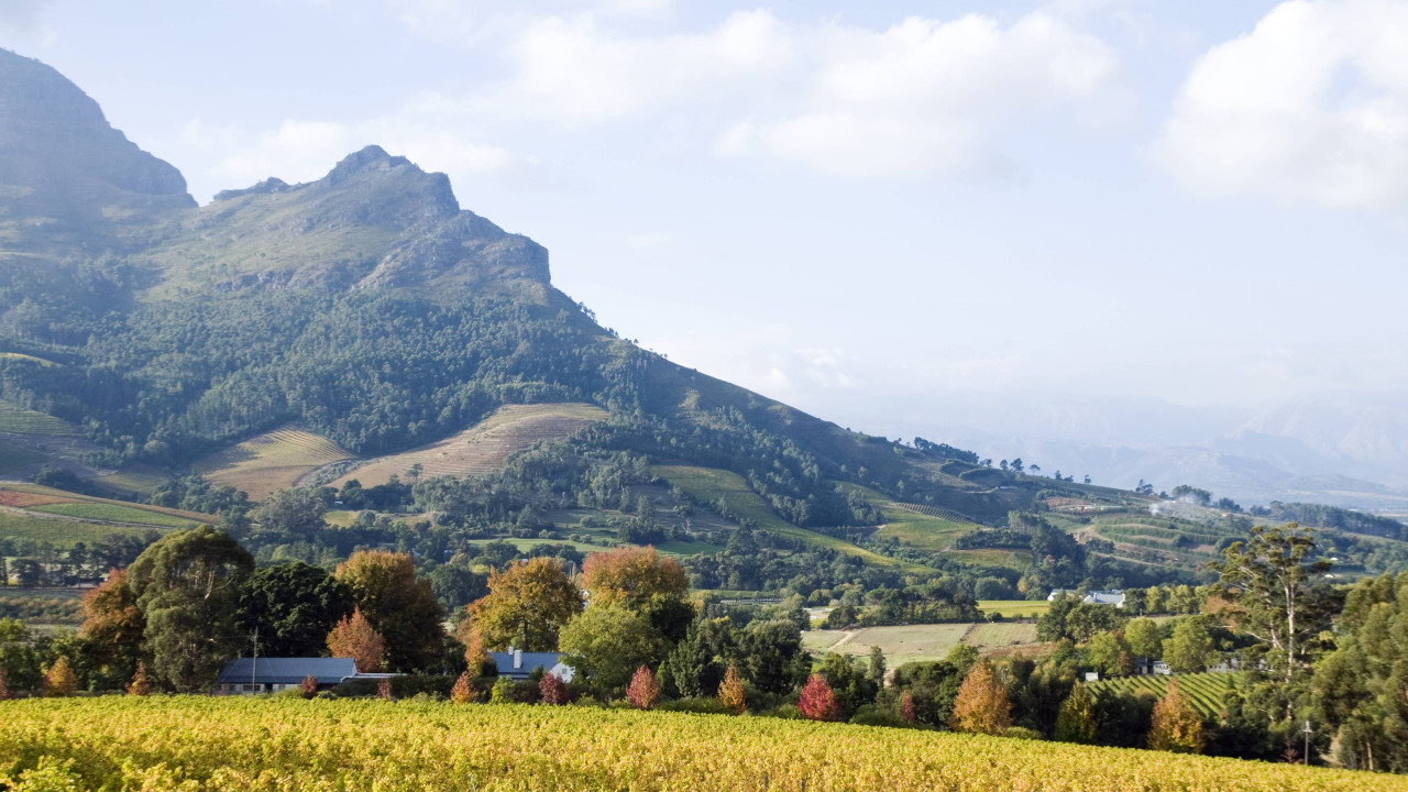 Stellenbosch SA Tourism