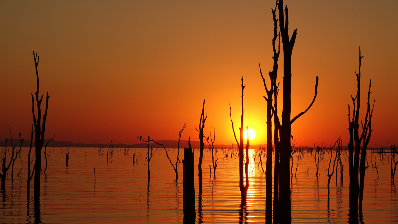 Sonnenuntergang über einem See mit abgestorbenen Bäumen im Wasser