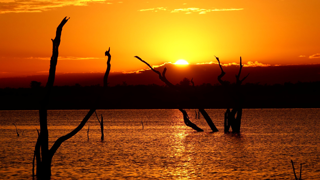 Sonnenuntergang über einem See mit abgestorbenen Bäumen im Wasser