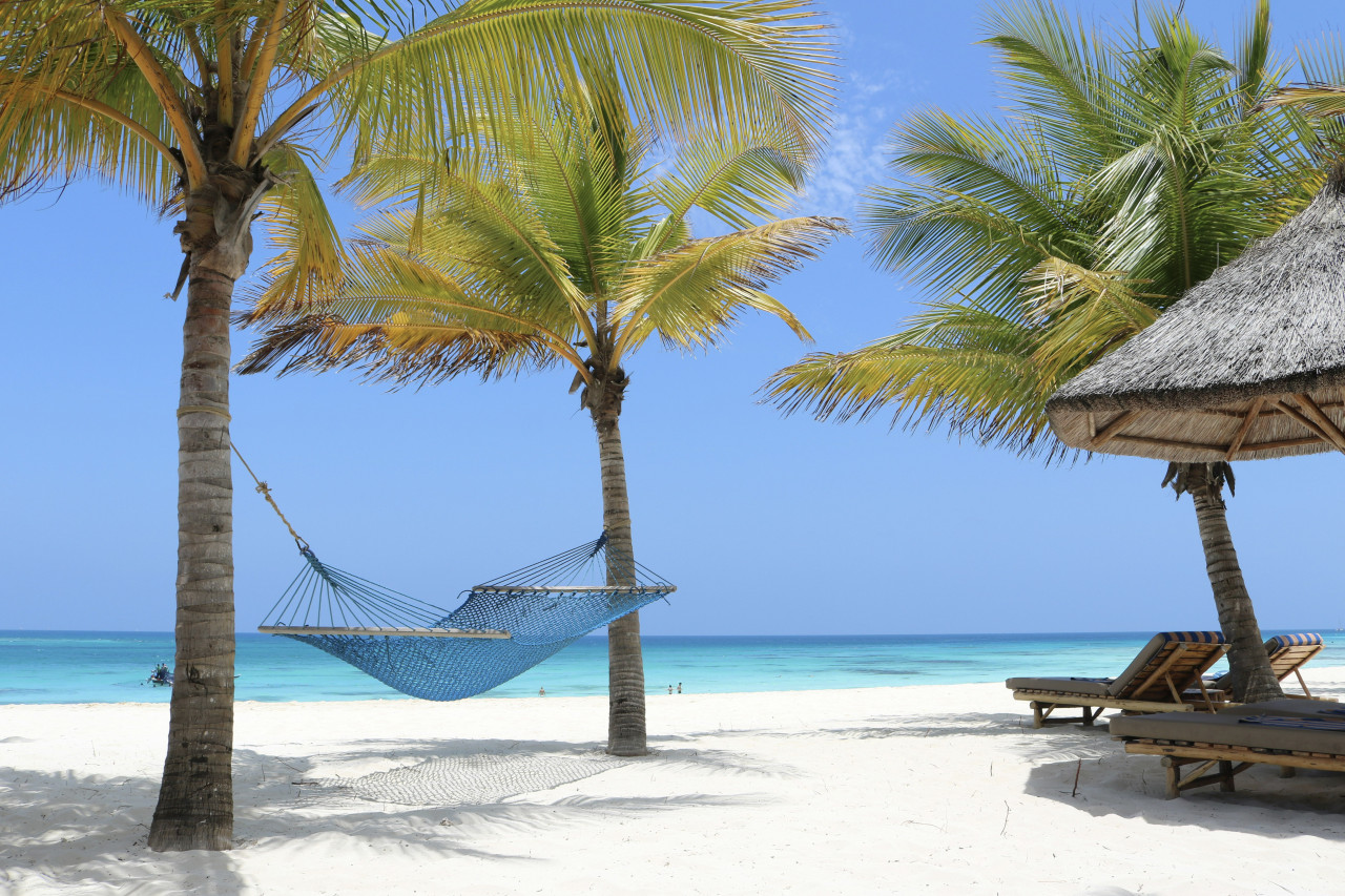 Hängematte zwischen Palmen an einem weißen Sandstrand mit türkisblauem Meer auf Sansibar