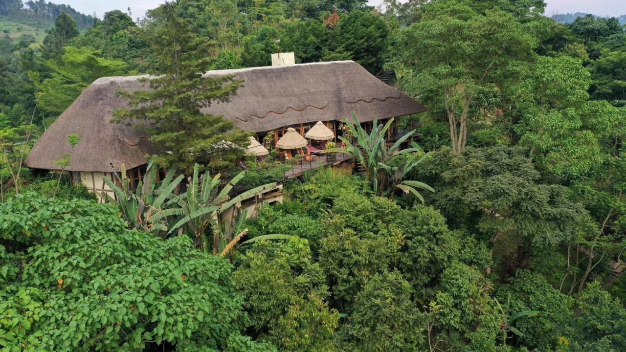 Dschungel-Lodge mit Panoramablick in Uganda
