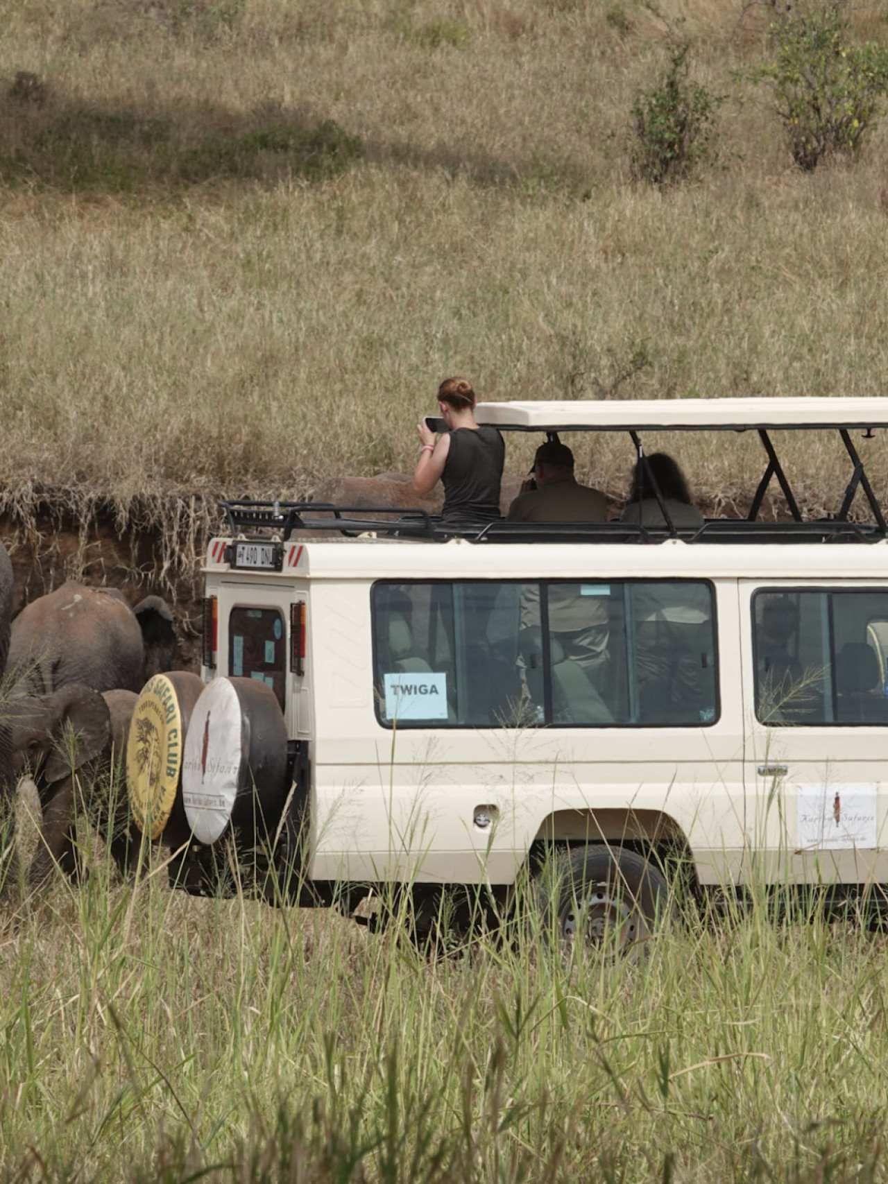 Elefantenherden in Tarangire