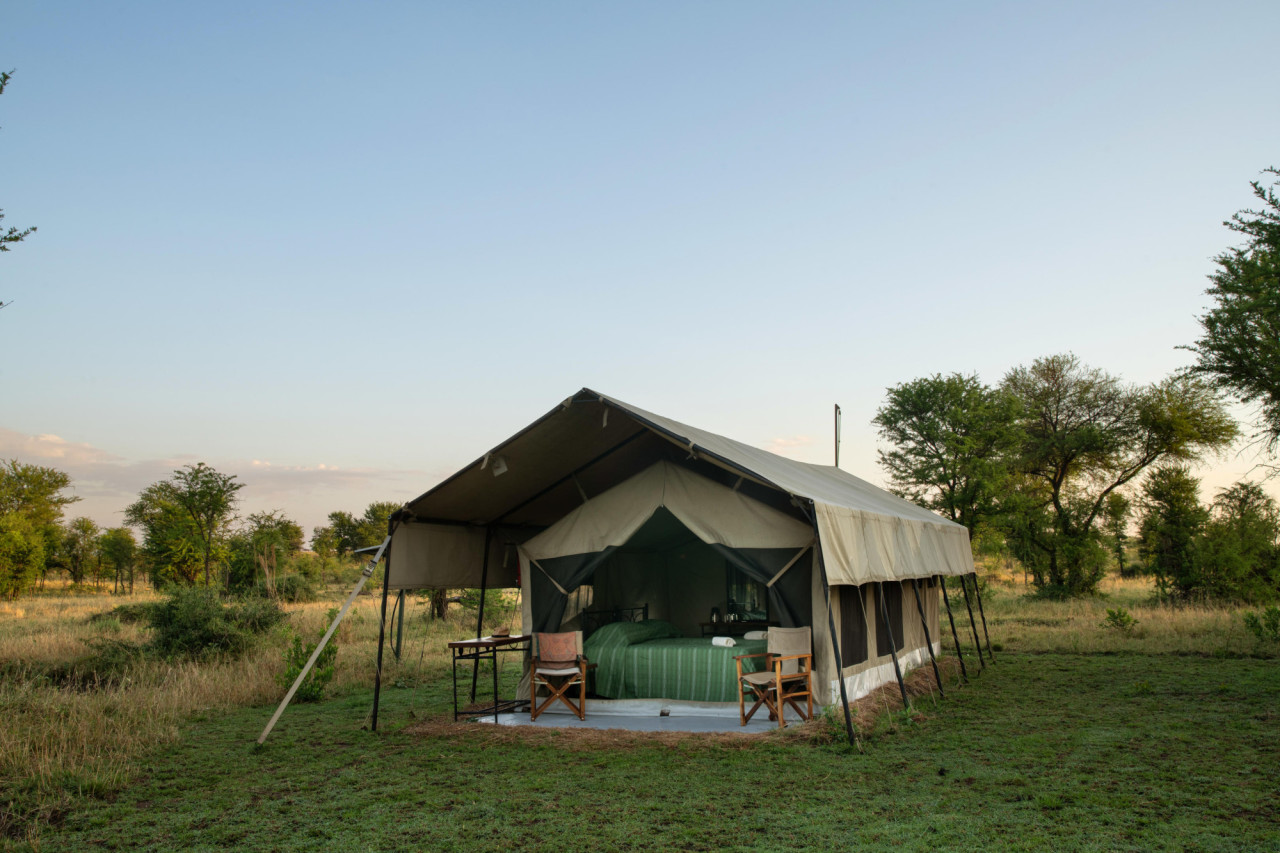 Safari-Abenteuer mitten in der Natur