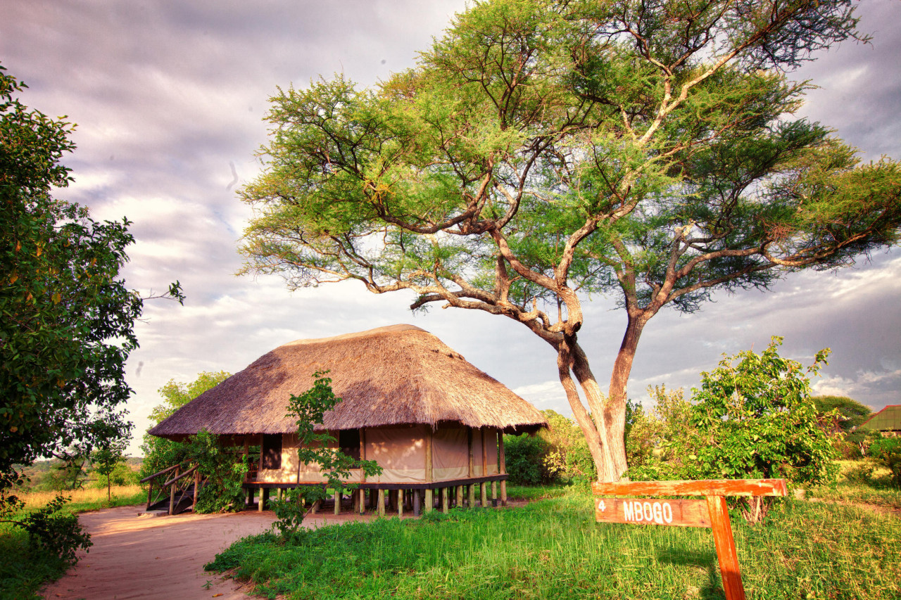 Authentisches Safari-Erlebnis im Tarangire