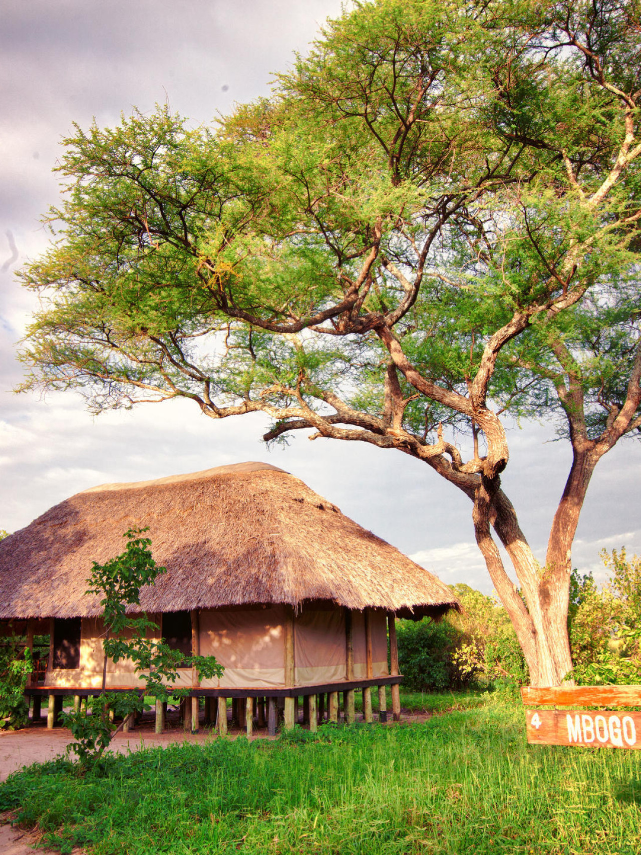 Authentisches Safari-Erlebnis im Tarangire