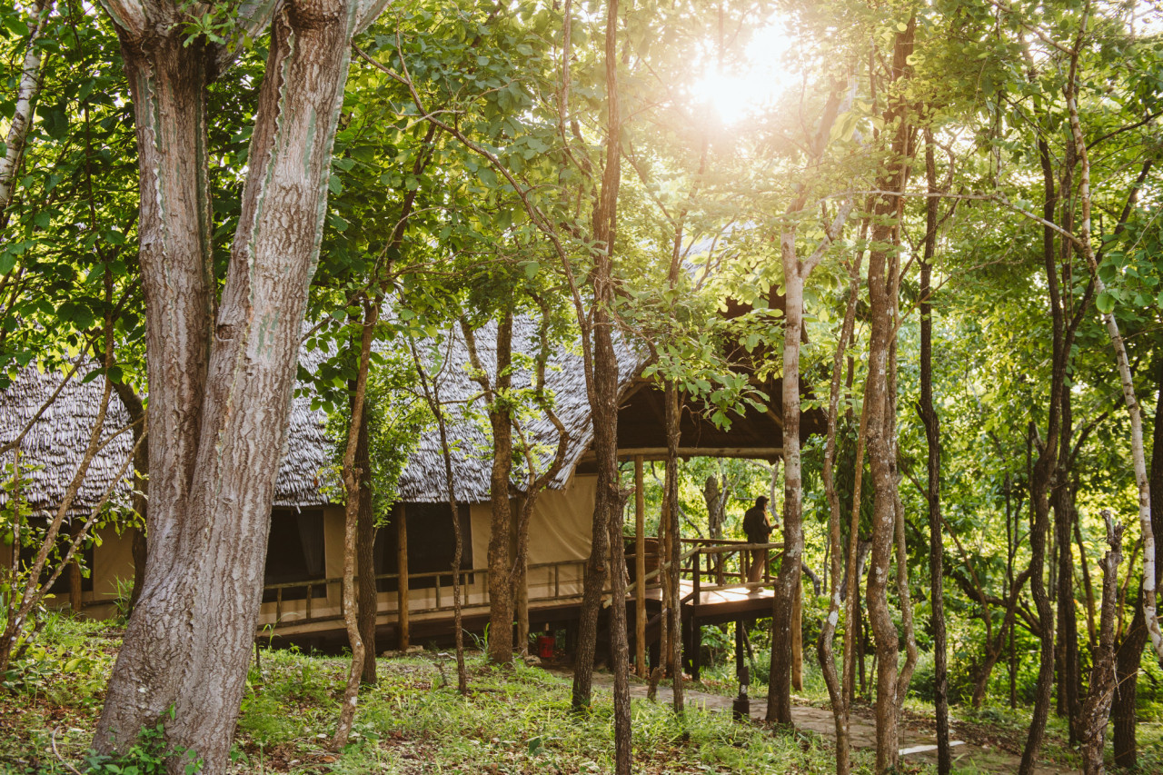 Cottages im Schatten der Bäume für kühle Nächte