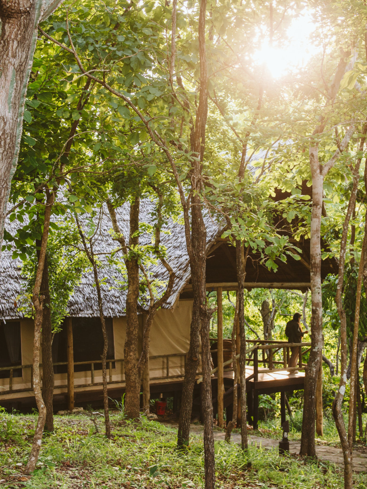 Cottages im Schatten der Bäume für kühle Nächte