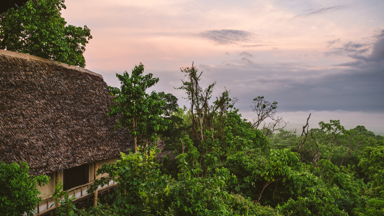 Das fantastische Camp liegt hoch oben über den Bäumen