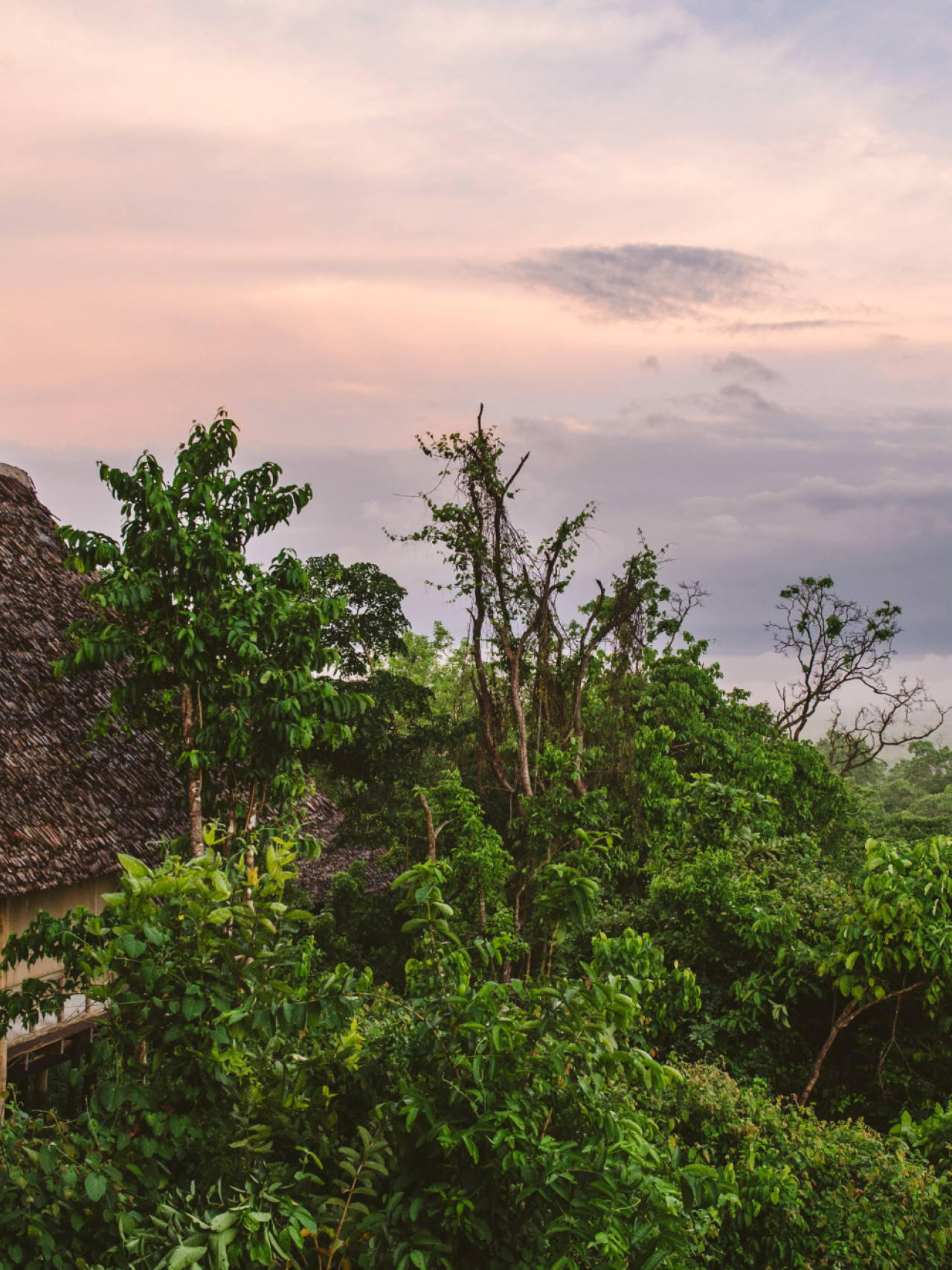 Das fantastische Camp liegt hoch oben über den Bäumen