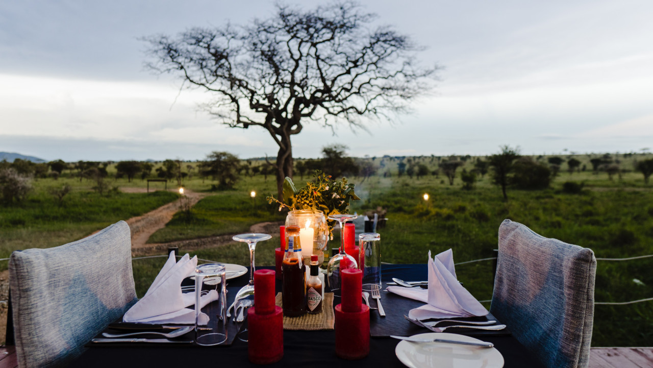 Abendessen mit Blick in die Wildnis